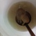 甲鱼