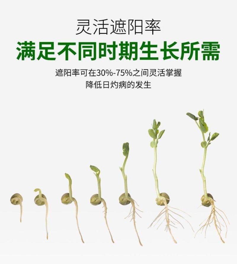 进口大棚降温剂降温涂料立凉利凉专用降温剂厂家直供抗冲刷