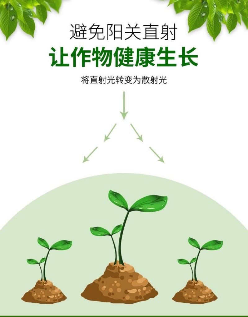 进口大棚降温剂降温涂料立凉利凉专用降温剂厂家直供抗冲刷