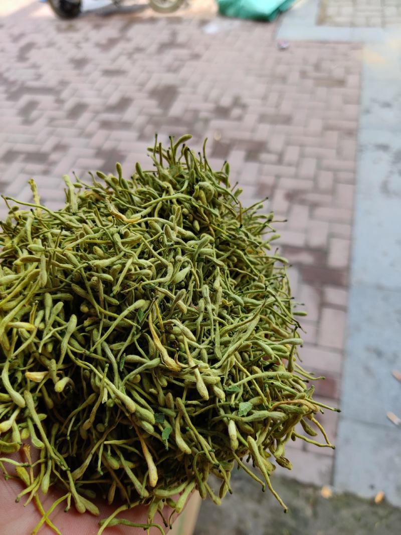 河北，一公斤起批金银花，货干头大一手货源价格低