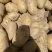 希森土豆光滑无虫眼不掉皮质量保证货源充足全国发货