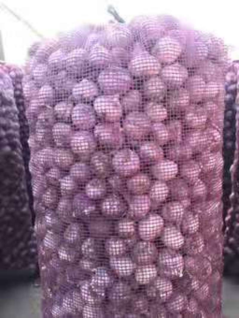 产地直销！云南红皮大蒜、红香蒜大量上市，量大优惠