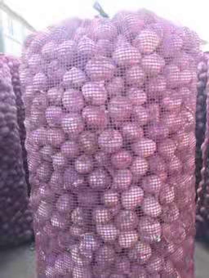 产地直销！云南红皮大蒜、红香蒜大量上市，量大优惠