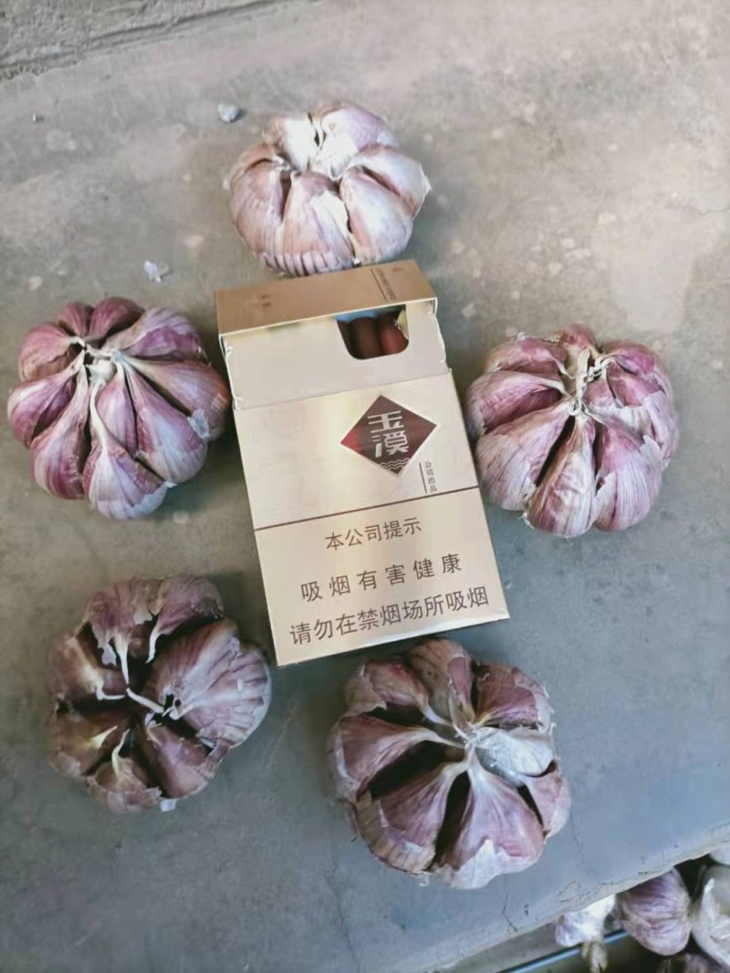 产地直销！云南红皮大蒜、红香蒜大量上市，量大优惠