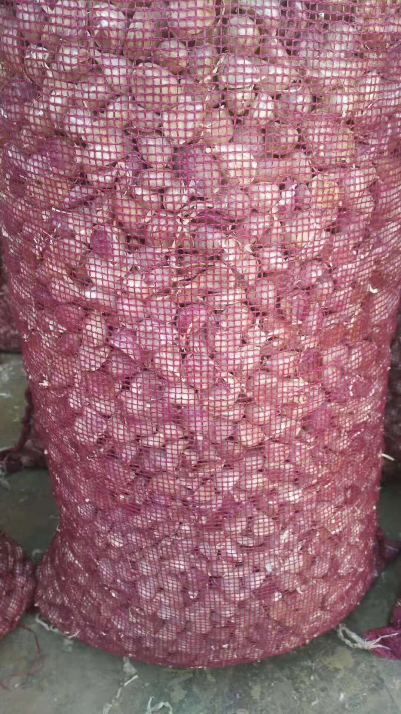 产地直销！云南红皮大蒜、红香蒜大量上市，量大优惠