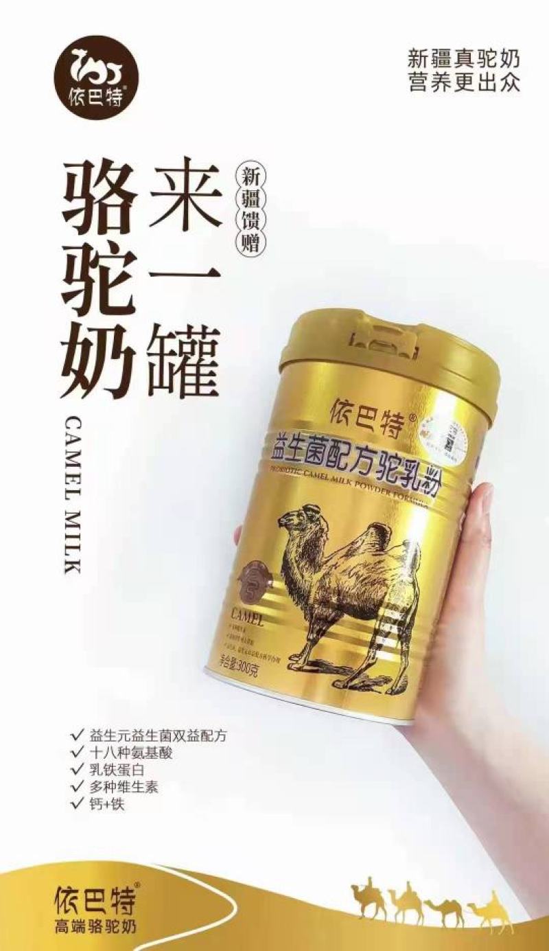 新疆伊巴特骆驼奶粉，全国招代理，拿货价格私聊