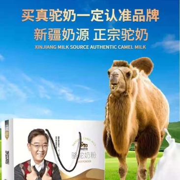 新疆伊巴特骆驼奶粉，全国招代理，拿货价格私聊