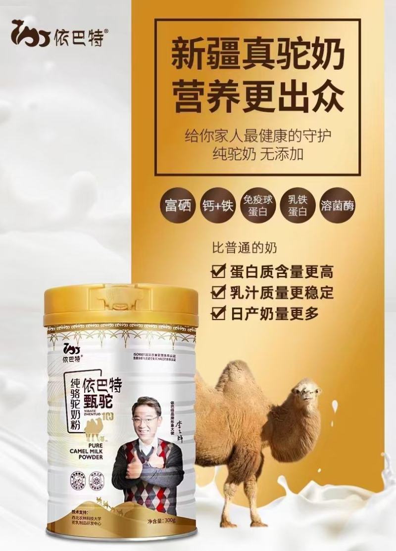 新疆伊巴特骆驼奶粉，全国招代理，拿货价格私聊