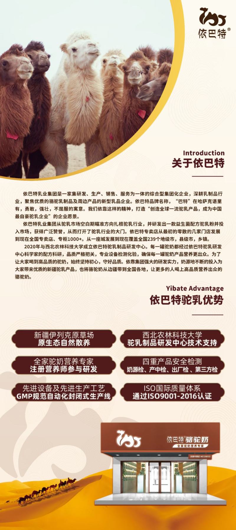新疆伊巴特骆驼奶粉，全国招代理，拿货价格私聊