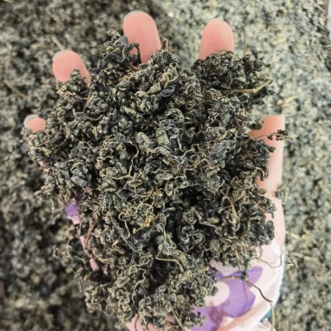 绞股蓝绞股蓝颗粒水洗干净无杂志三高人群必备