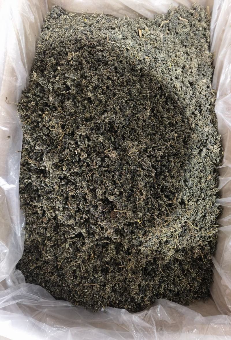 绞股蓝绞股蓝颗粒水洗干净无杂志三高人群必备