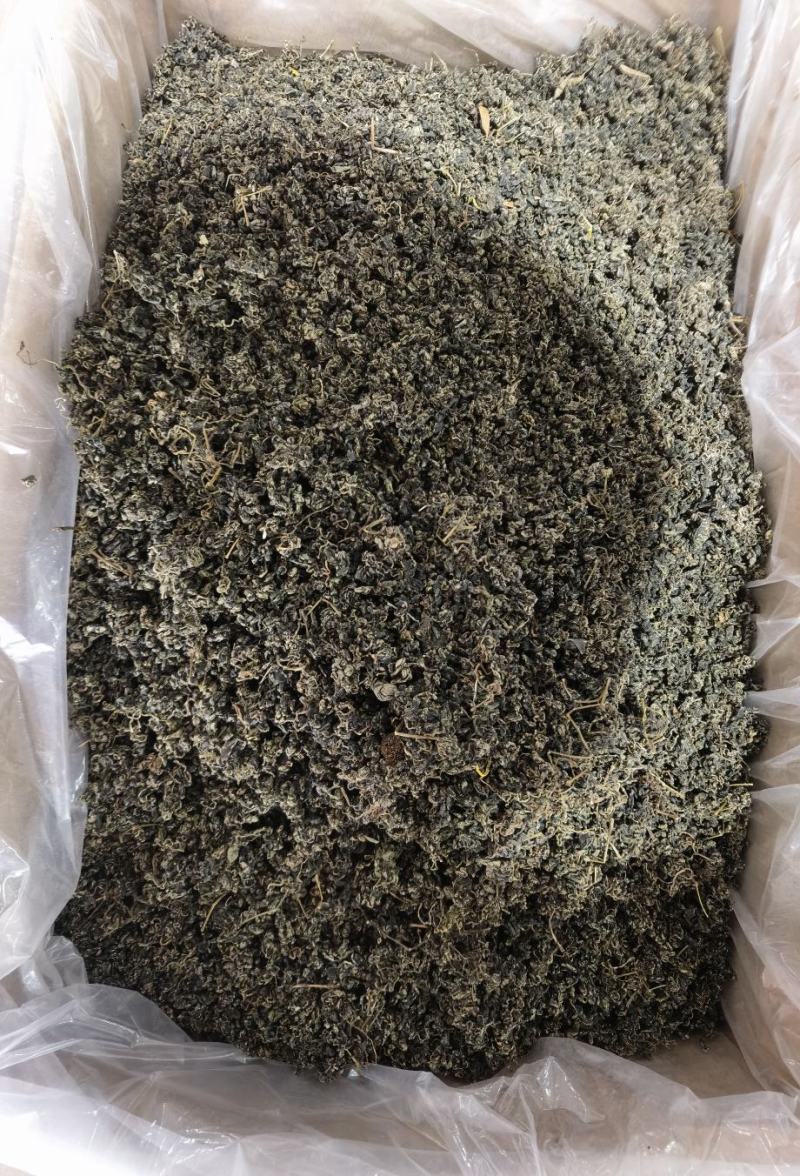 绞股蓝绞股蓝颗粒水洗干净无杂志三高人群必备