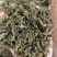 丁香无硫新货干净无杂志养胃花茶佳品量大从优