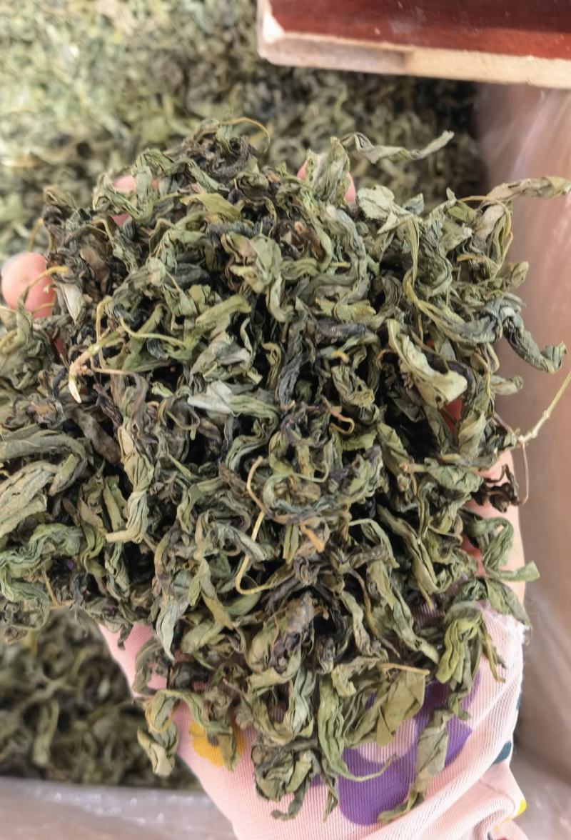 丁香无硫新货干净无杂志养胃花茶佳品量大从优