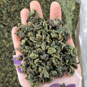 桑叶茶桑树叶新货无任何添加颜色好看1公斤起批