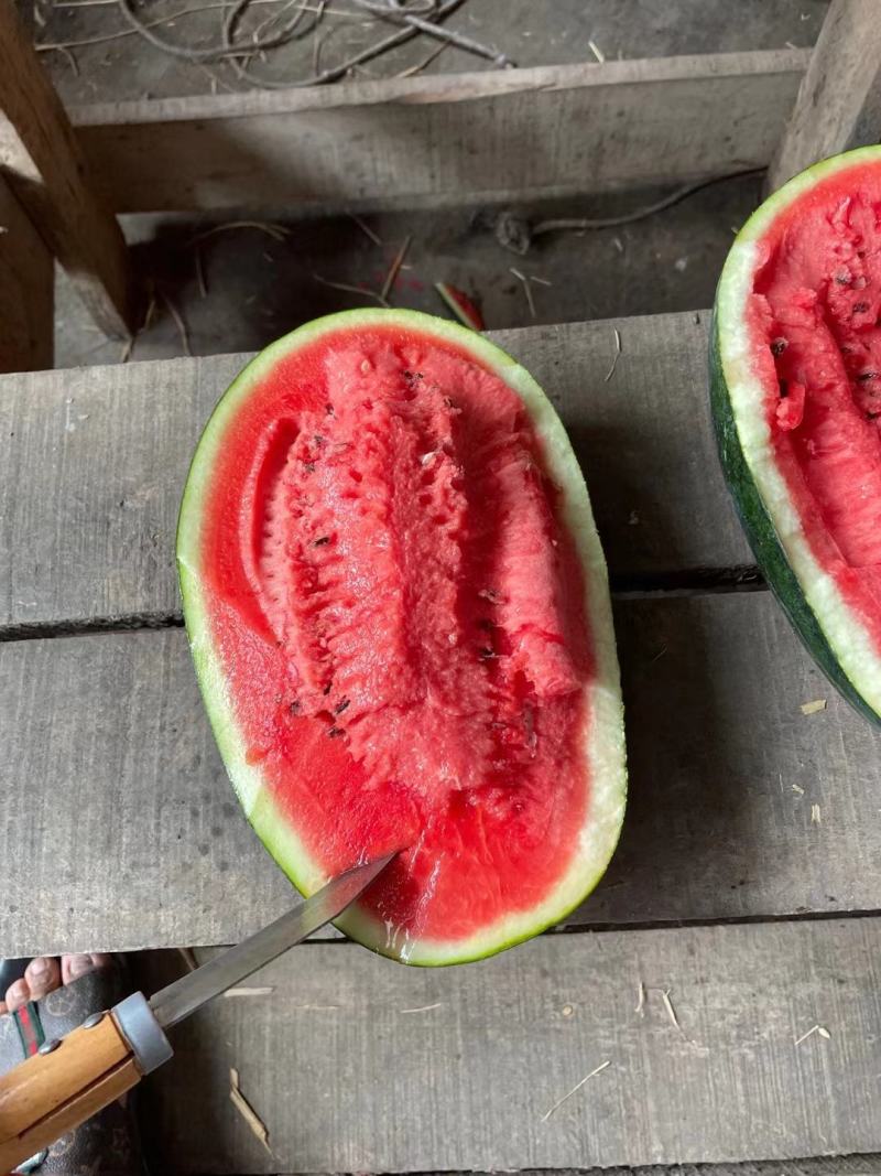 精品黑美人西瓜一箱3粒电商**保质保量一手货源