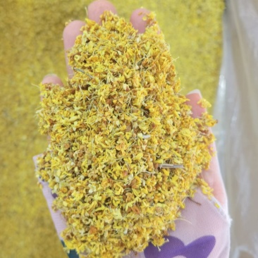 桂花干桂花无硫无添加颜色黄味道香1公斤起批