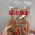 鱿鱼母本港个个带卵各个带卵