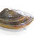 新鲜活河蚌，河蚌肉批发，代收河蚌