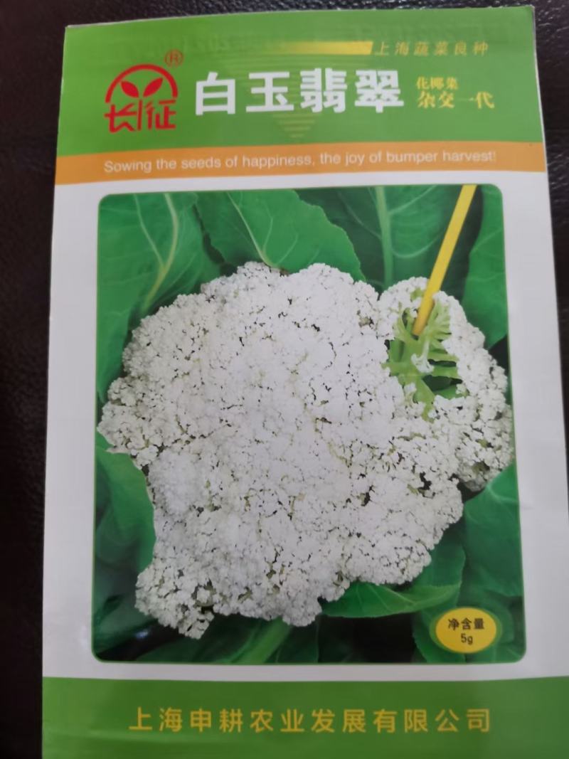 有机菜花，西兰花，甘兰种子