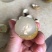 桂圆