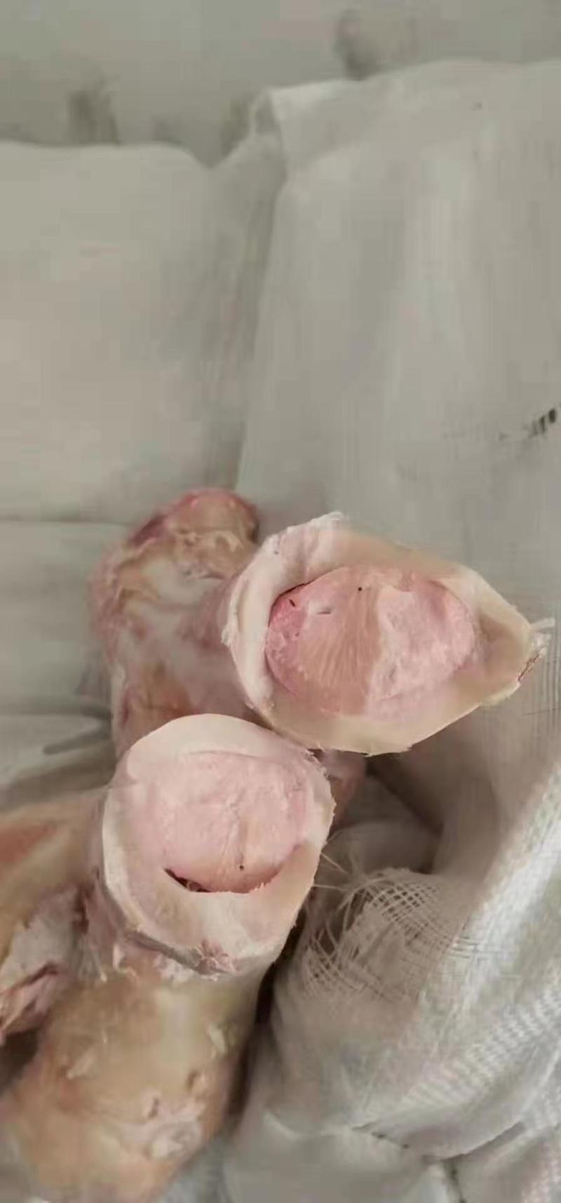 牛棒骨，熬汤专用，质量保证！餐馆必备！！