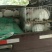 诚信商家货到付款绵阳山羊奶山羊头胎二胎都有萨福克
