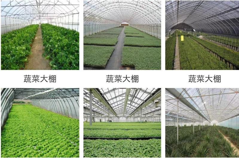 供应薄膜温室，玻璃温室，日光温室，春秋大棚，花卉温室