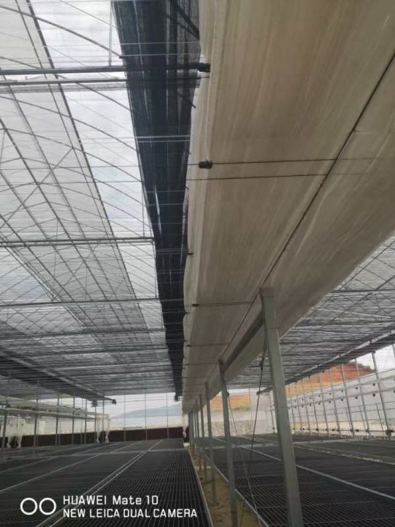 荷兰温室，花卉大棚，育苗温室，生态餐厅，温室设施，
