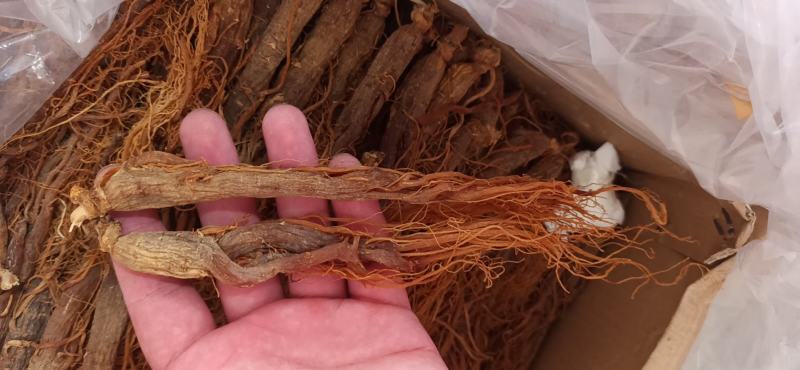 红参须参须品质保证可打粉一手货源中药专营