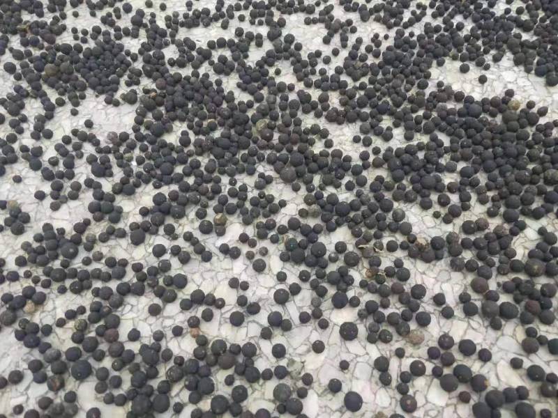 广西柑橘类积壳生鲜干货大量供应，欢迎客户长期合作