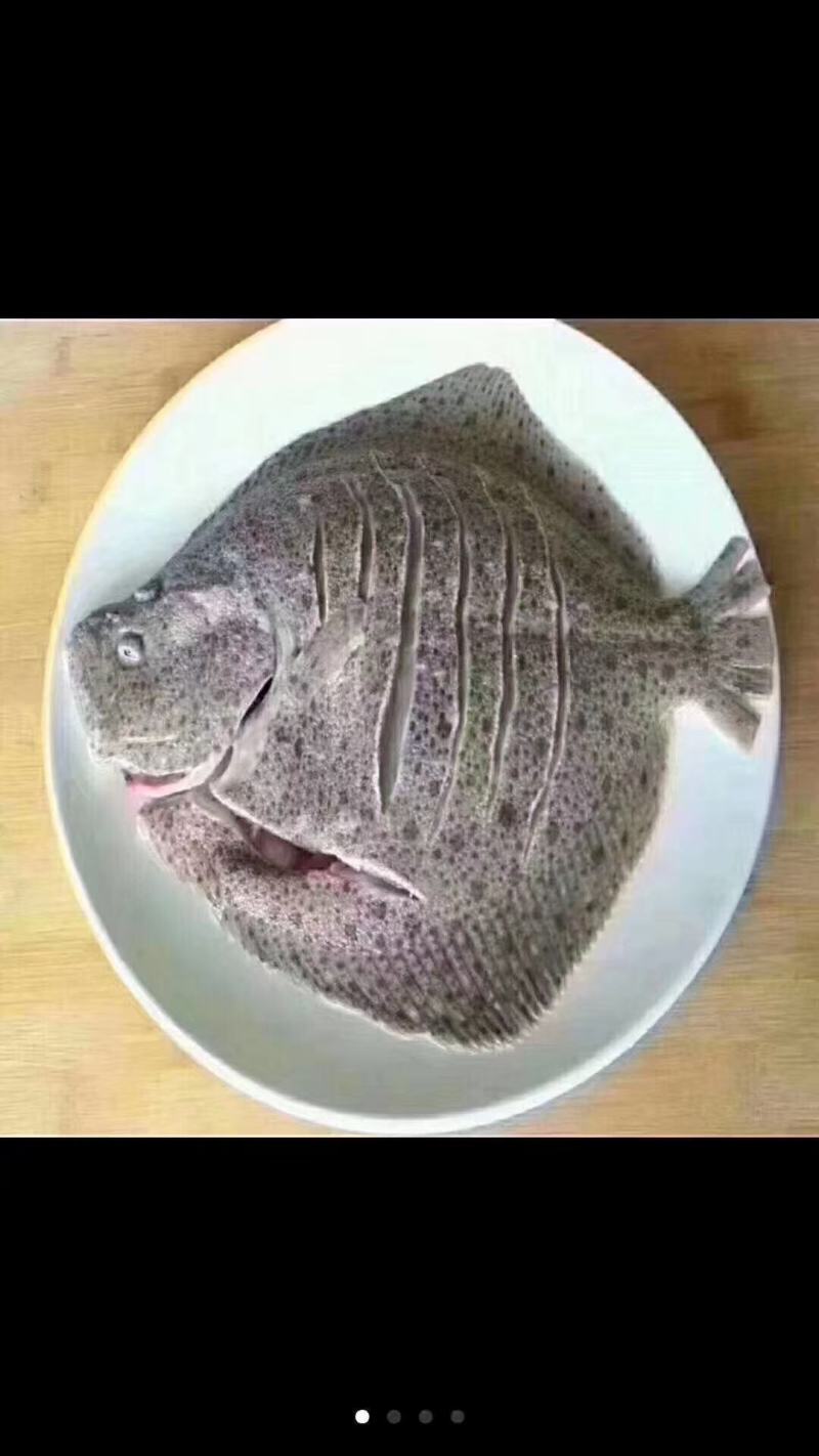 多宝鱼