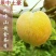 粤北山区黄金奈李