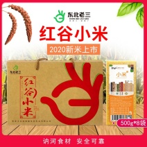 东北黑龙江红谷小米