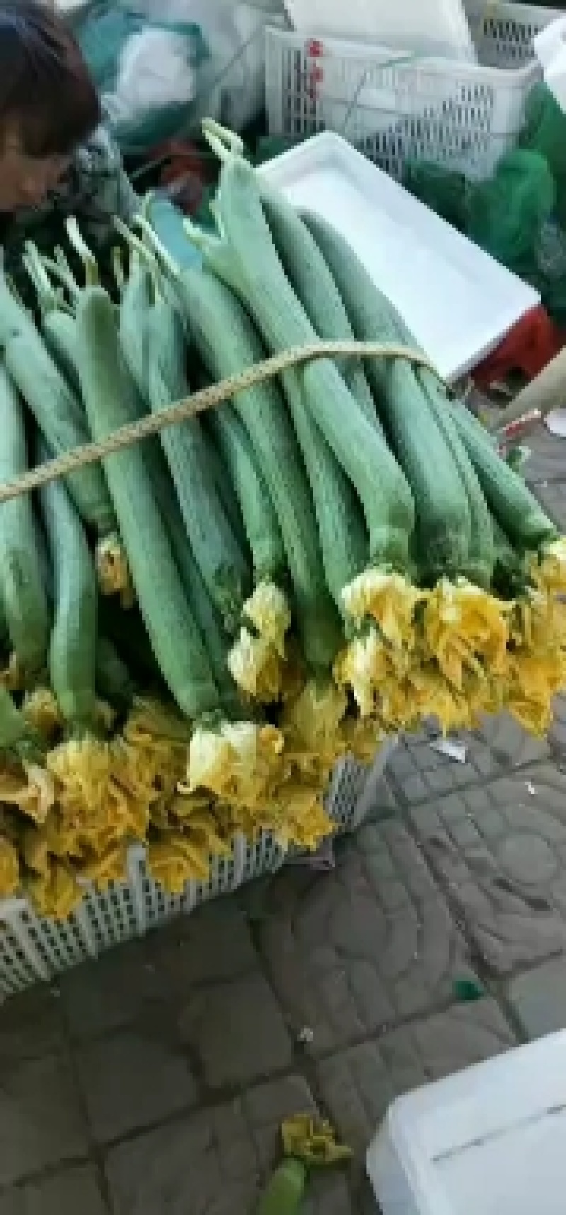 鲜花丝瓜