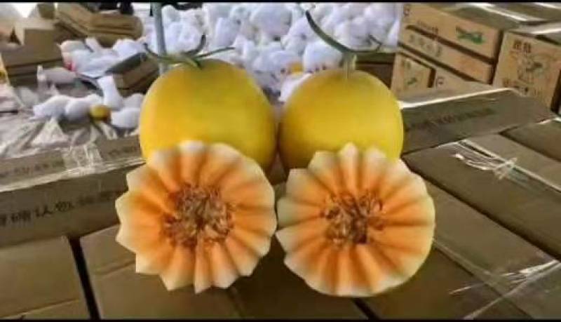 金红宝