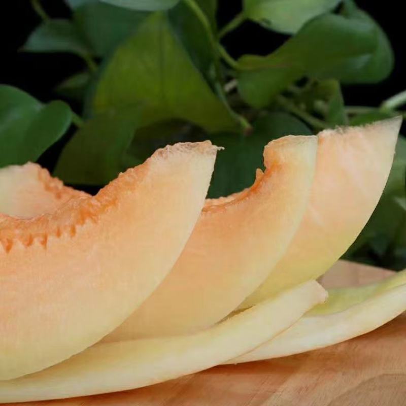 金红宝