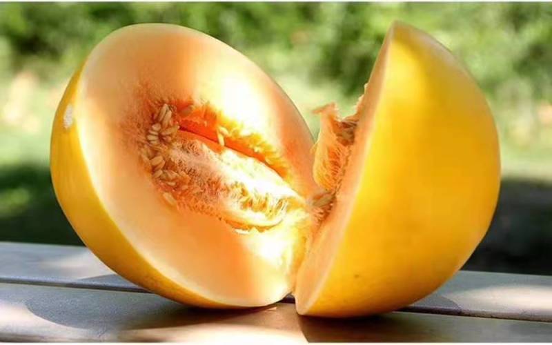 金红宝