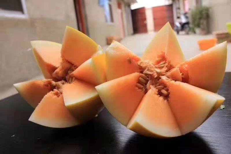 金红宝
