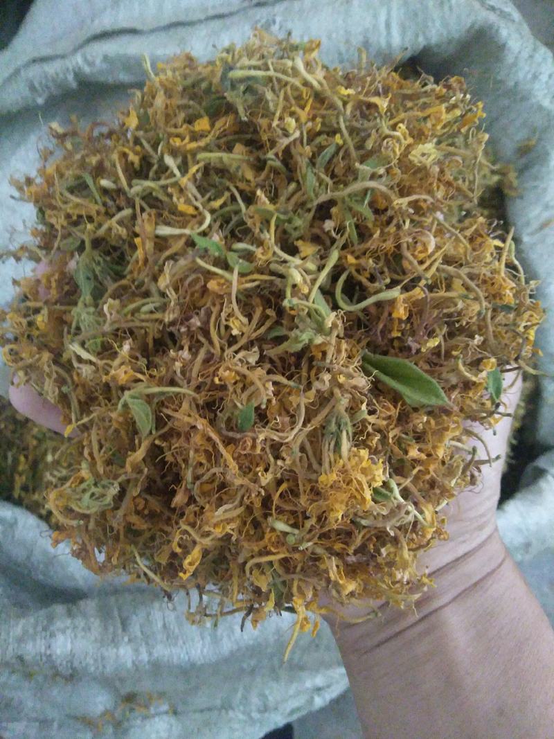 贵州山区金银花（花瓣、花籽、统花～太阳生晒）