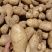 土豆精品西森土豆大量上市