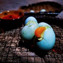 贵州麻山散养农户麻鸡绿壳鸡蛋，贵州好山好水好鸡蛋