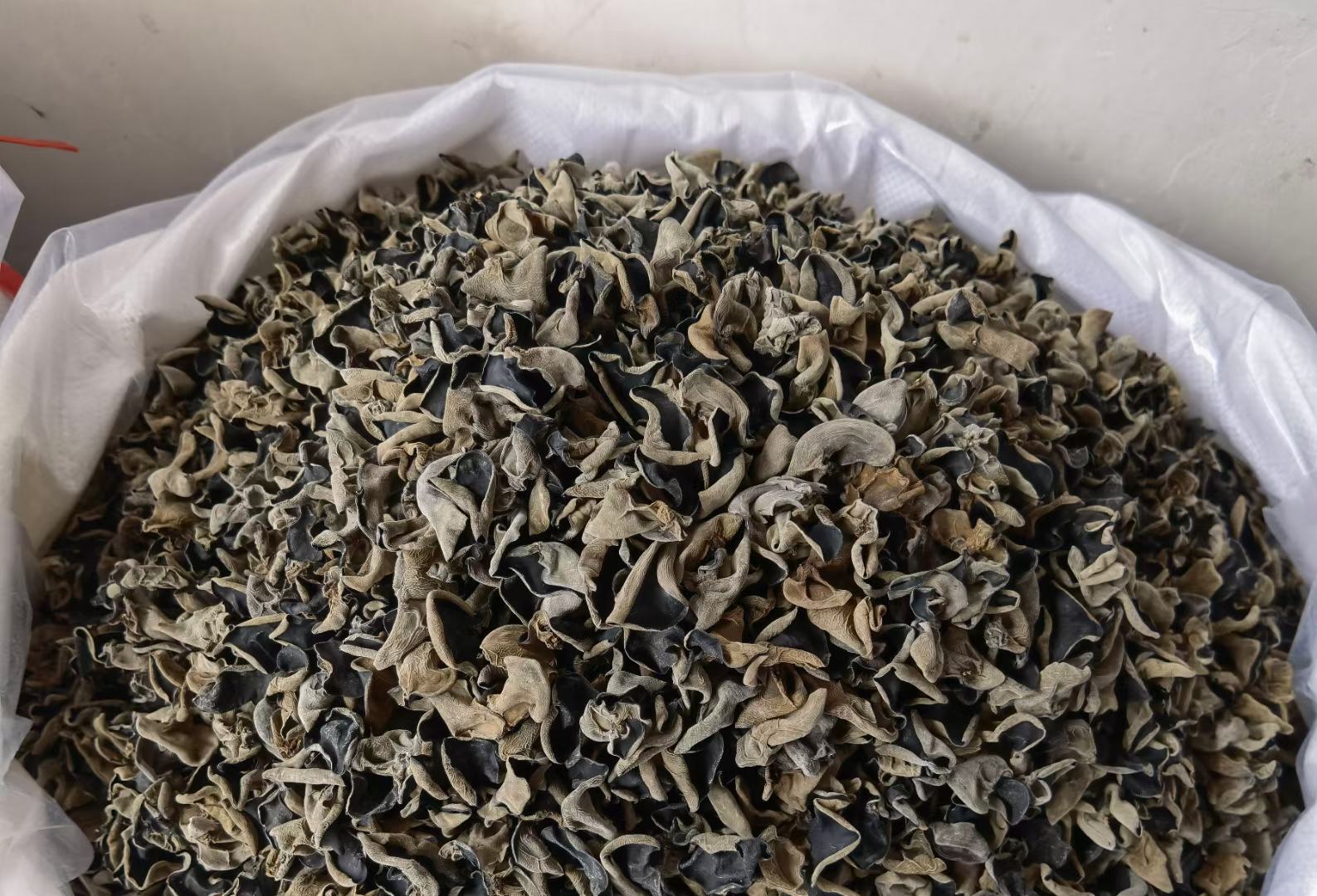 干木耳市场价格走势图