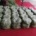 白花四季豆大量上市了量很大服务一条龙欢迎电话咨询