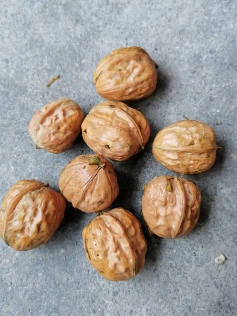 青皮核桃，优质核桃，各种规格，手摘果，棒打果，大量上市