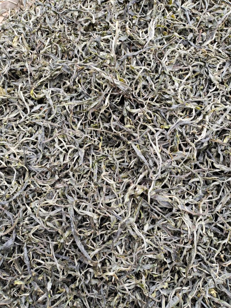 云南保山龙陵古树茶