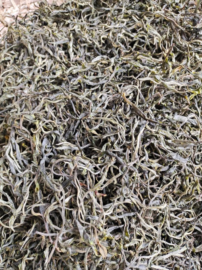 云南保山龙陵古树茶