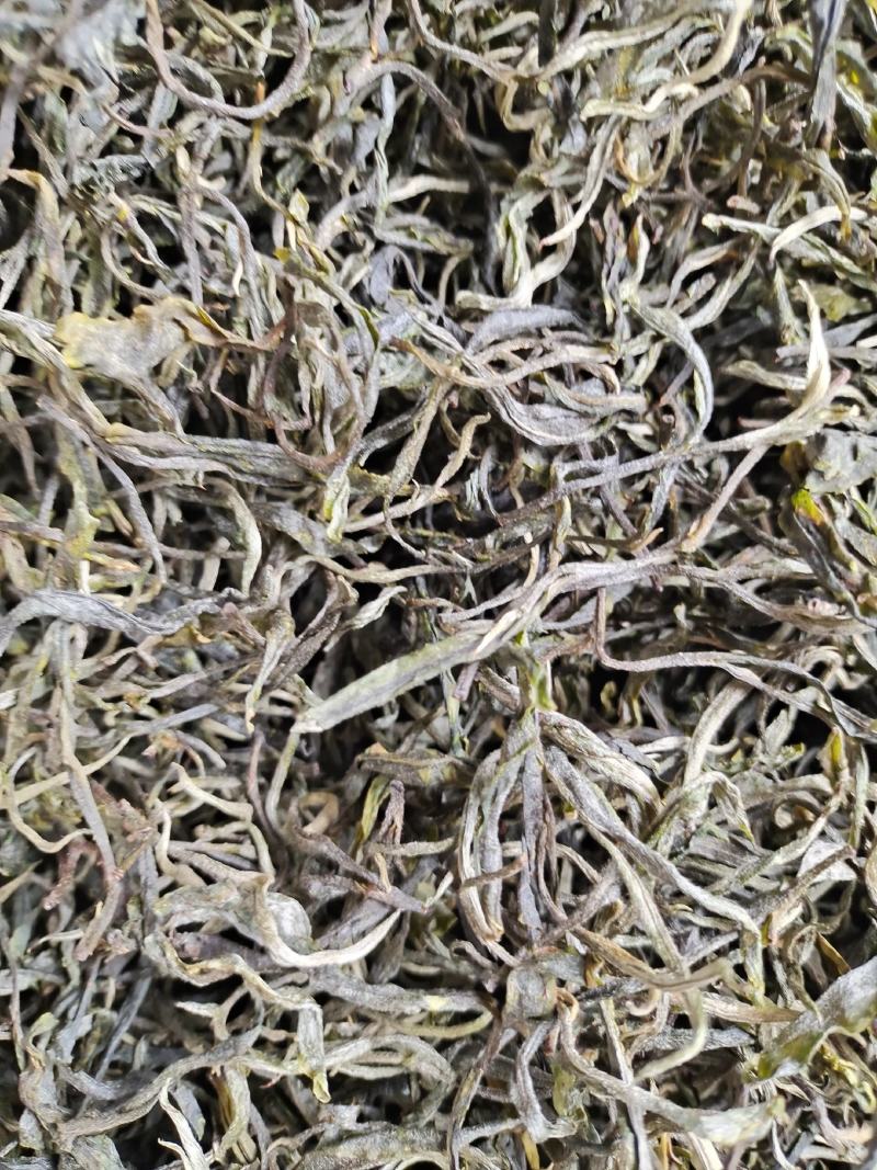 云南保山龙陵古树茶