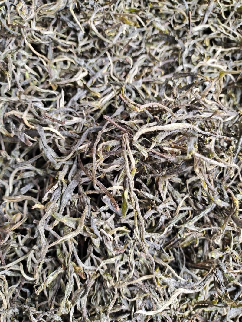 云南保山龙陵古树茶