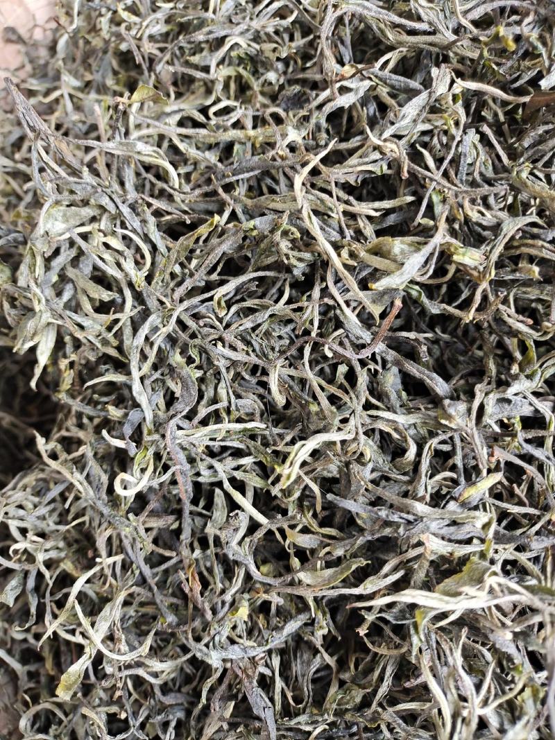 云南保山龙陵古树茶
